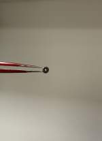 Colante macho orient 46941 - Imagem 2