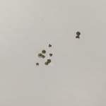 parafusos orient 46941 (ancora e calendario)