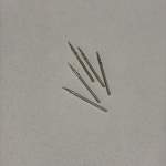 Tige myota calendário