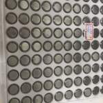 Bateria 1220 de cartela (vendido por und)