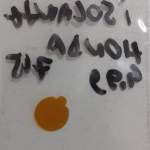 isolamento honda 715