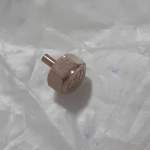 Coroa EU6P29ACO folheada