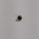 coroa co2115svc