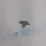 platina oriente 3510