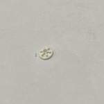 roda calendario 0870/6870 citizen