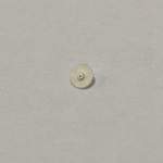 Roda intermediaria 1M12