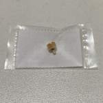 COROA CITIZEN C-050 AO C-900 DOURADA