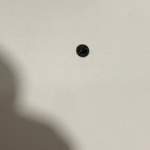 rolamento canon 6l45