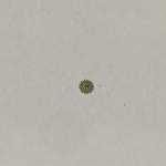 minuteria 4t13/ 4t23