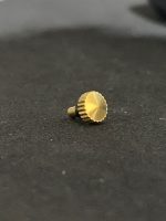 Coroa Citizen Aço Dourado (229032)